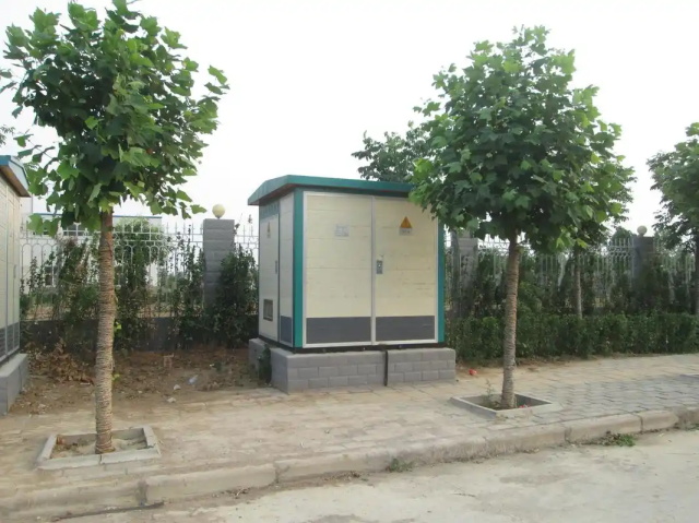 隆昌1000KVA欧式箱式变压器
